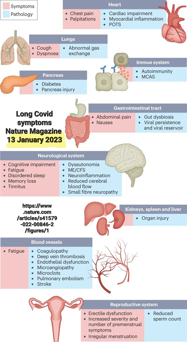 Reject The great reset tweet media