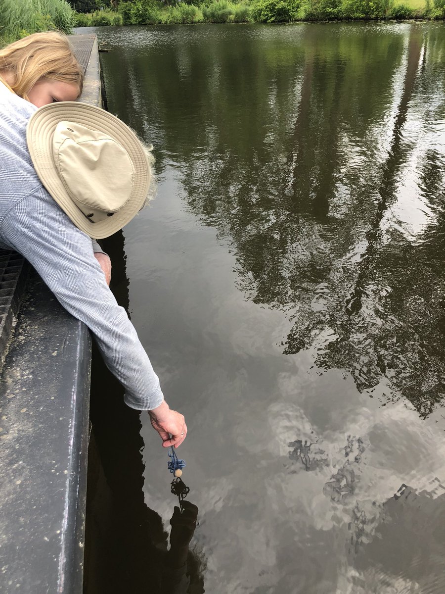 Hans Leeflang tweet media