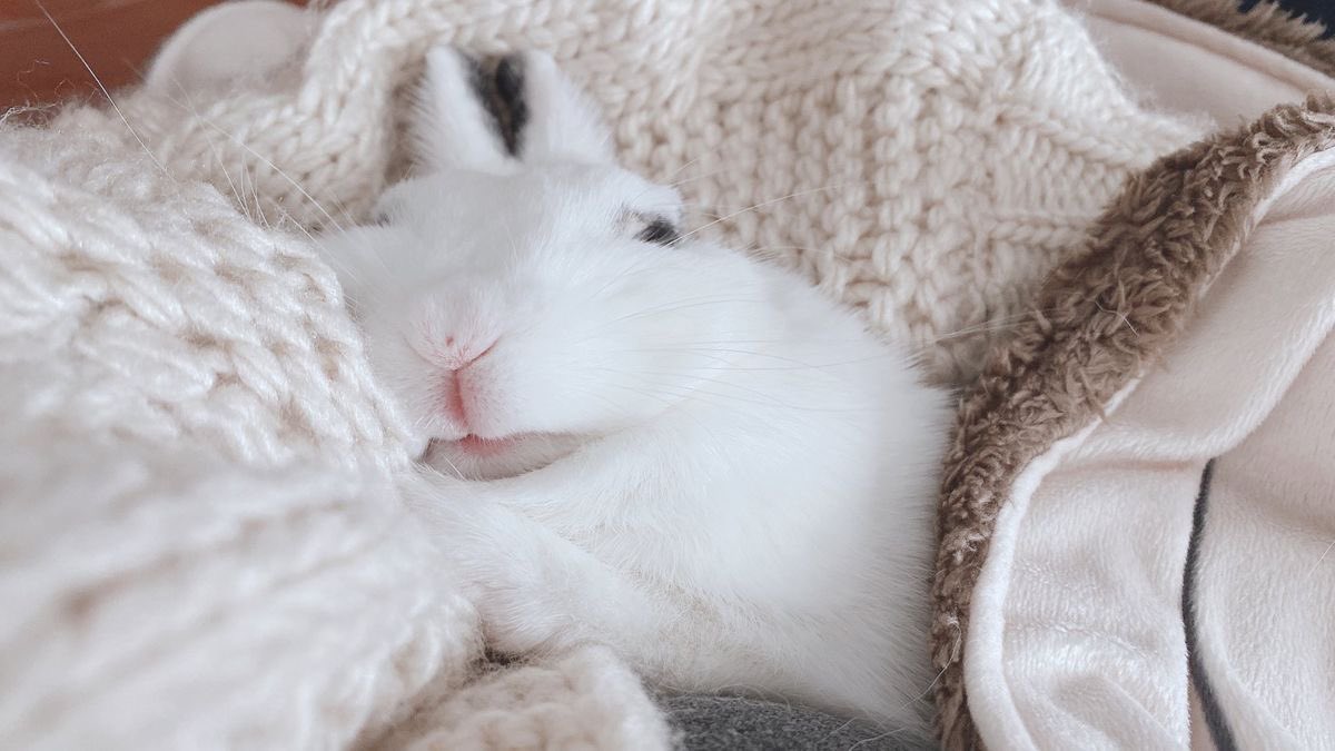 marie.♡̷̷ˎˊ˗

I’ll be back soon !
I got into some unexpected trouble irl