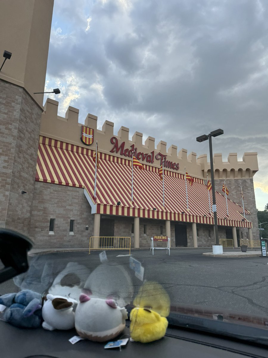 kk174ramos's tweet photo. Had fun at medieval times was a blast and wonderful experience 🥰 https://t.co/j6Rzms72e4