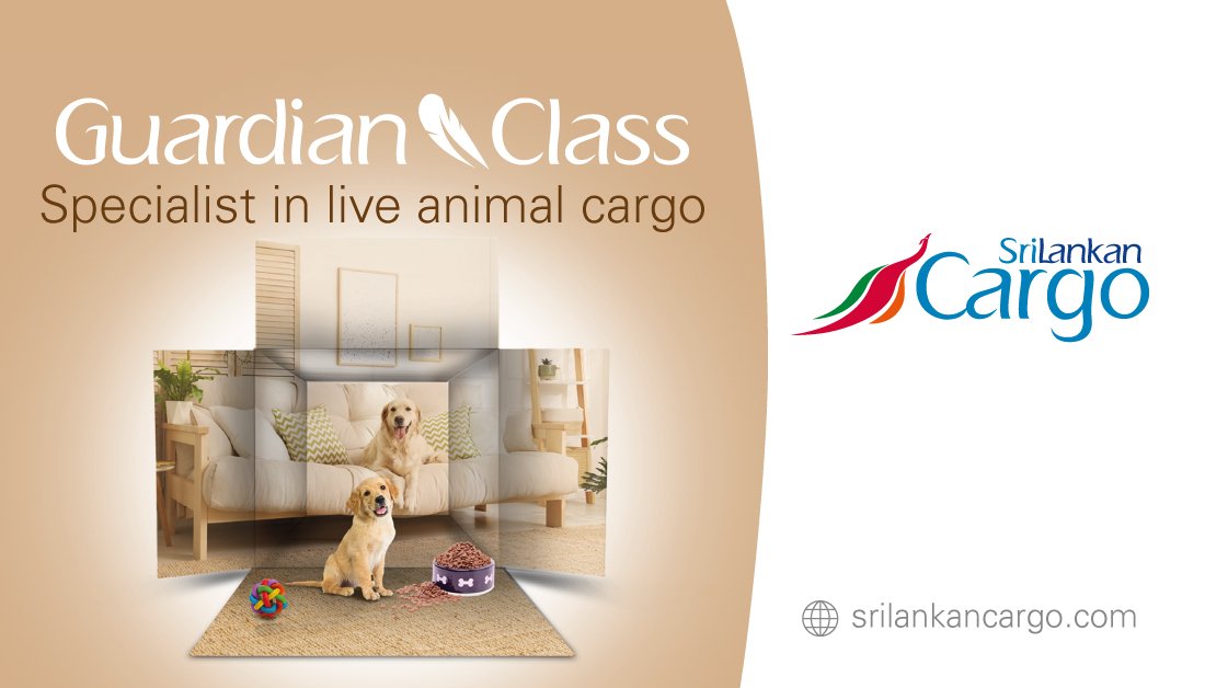 flysrilankan's tweet photo. Embark on a new era of exclusive live animal transportation with SriLankan Cargo's Guardian Class. Elevate your pet's travel experience with unrivaled care and comfort, ensuring a stress-free journey every time. Discover the ultimate standard in pet transportation today.

#SriLankanAirlines #SriLankanCargo #GuardianClass #Aircargo