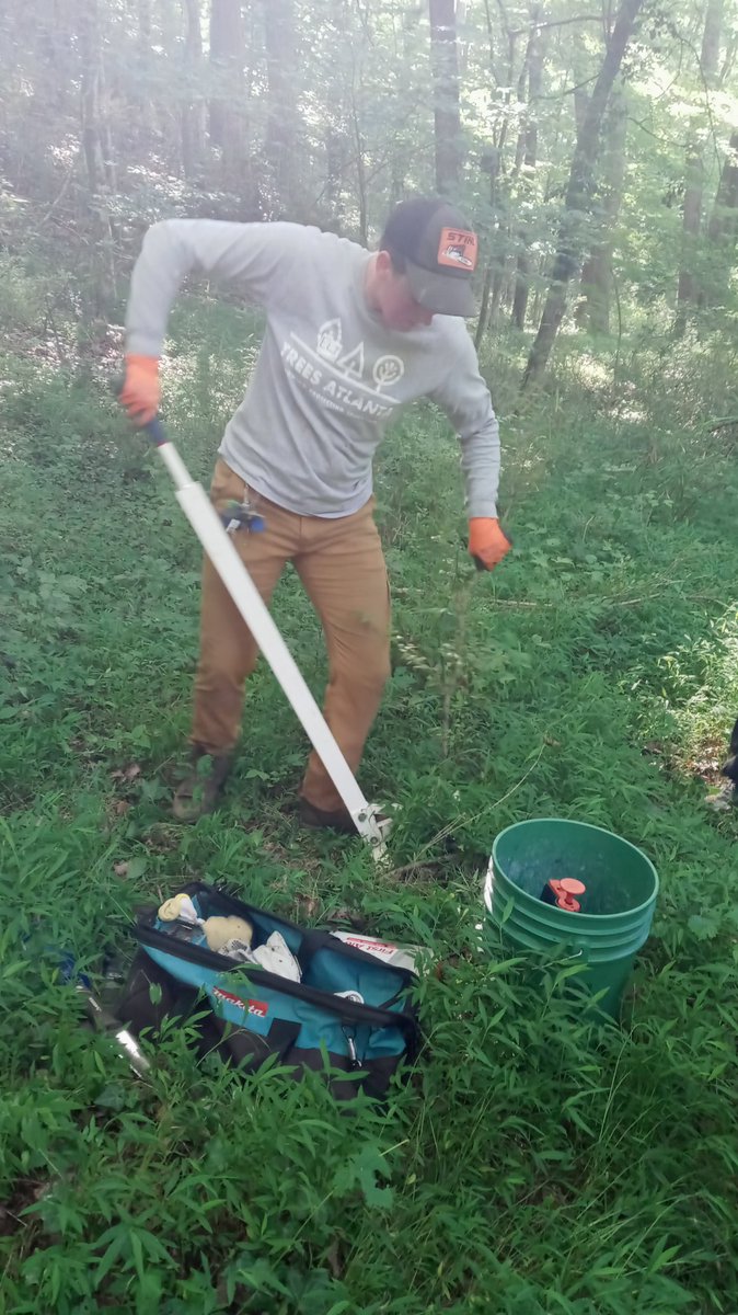 tracy woodard tweet media