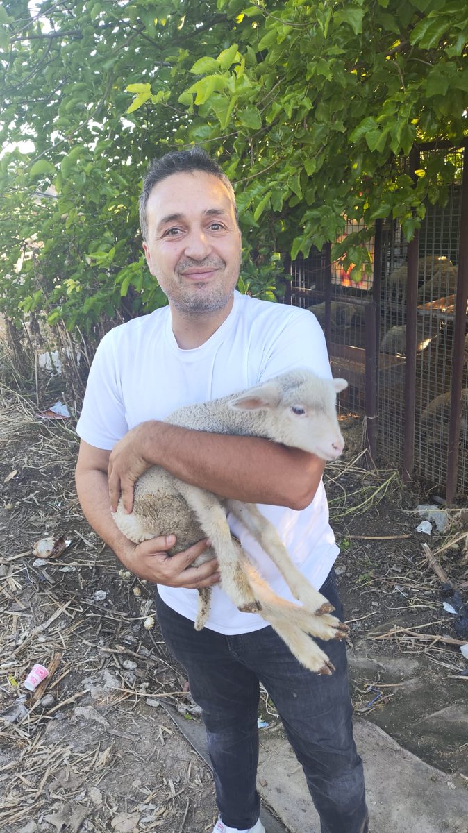 Bunu satın almaya yetecek bir para yok