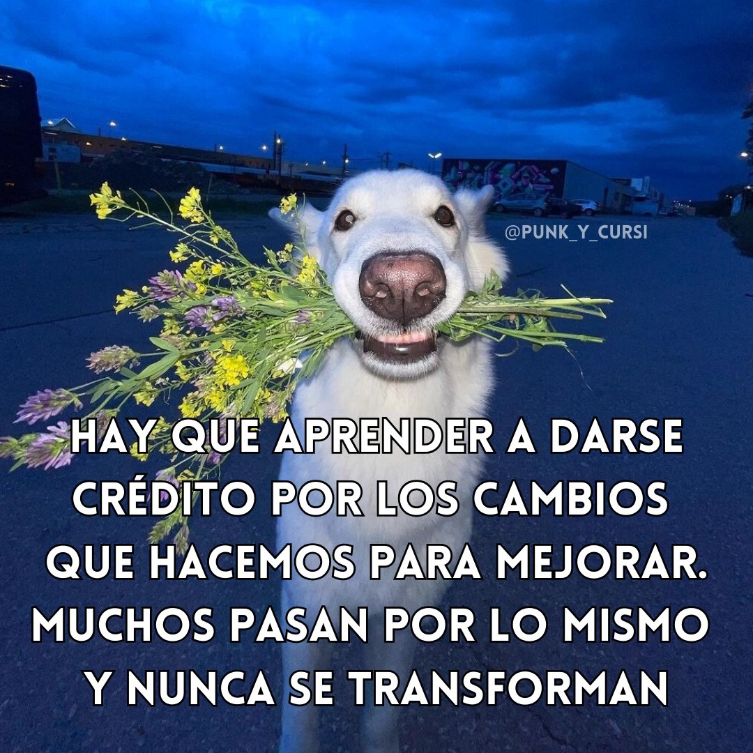 💐💐💐💐