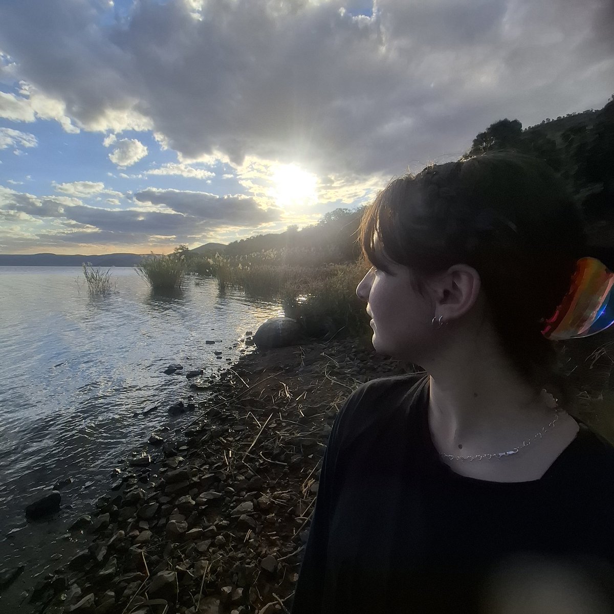 Buffalo Recon tweet media