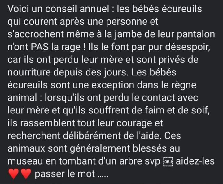 AdeaClaude's tweet photo. https://t.co/fDuBBBVNQY