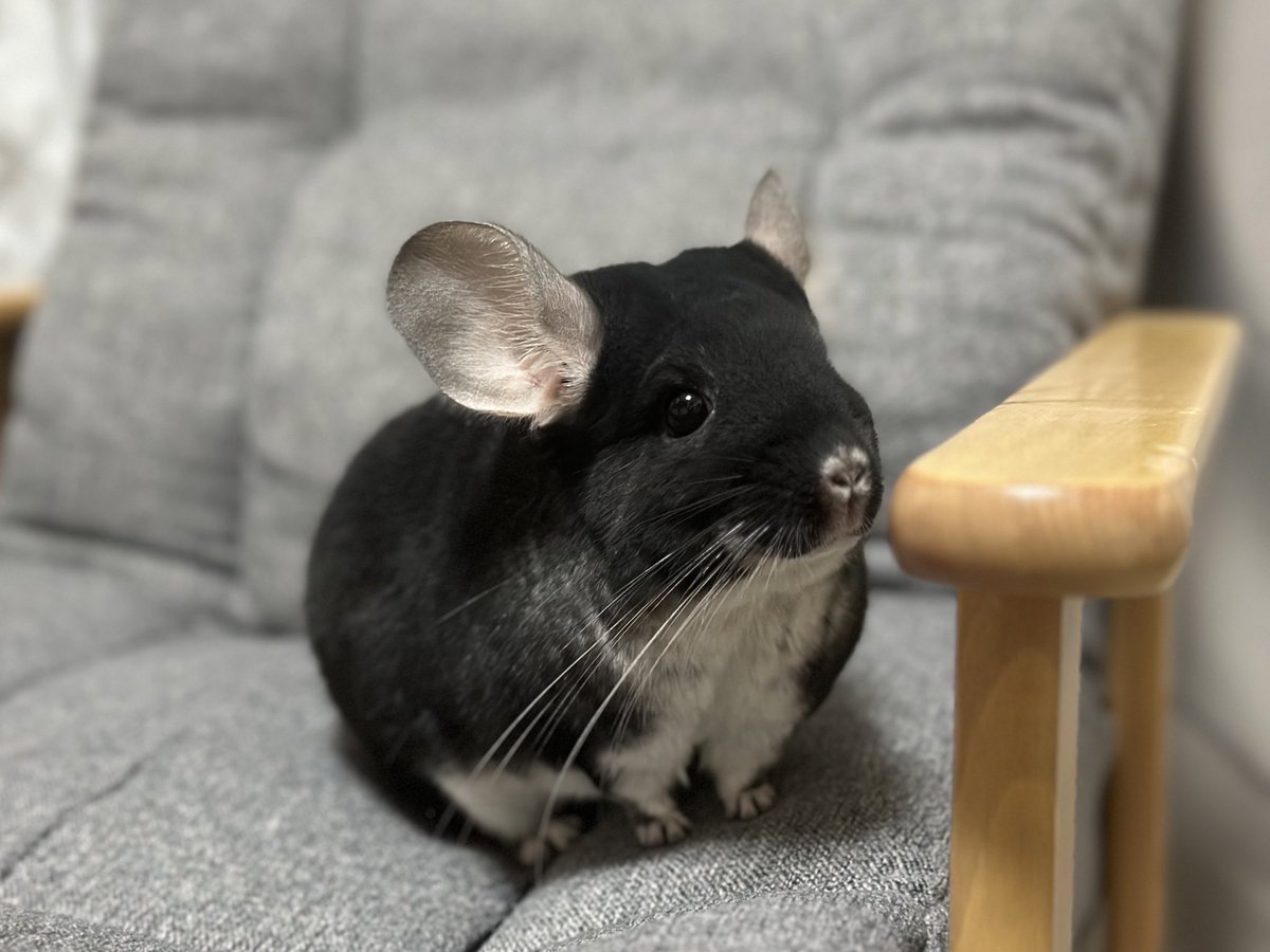 ことほ (@KoToHo0627) / Posts / X