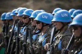 ¿Crees que los cascos azules deben intervenir en Gaza para asegurar la entrada de ayuda humanitaria y para que Israel cumpla las órdenes de la Corte Internacional de Justicia y salga de Rafah?