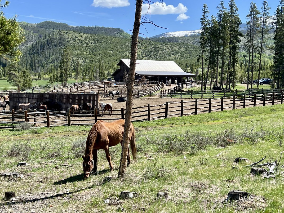 SAsportshonk's tweet image. @jimrome Gave up my usual @onepeloton ride for a little more scenery! #JimRomeOnX #DevilsThumbRanch
#WinterParkCO
SASandman on Peloton