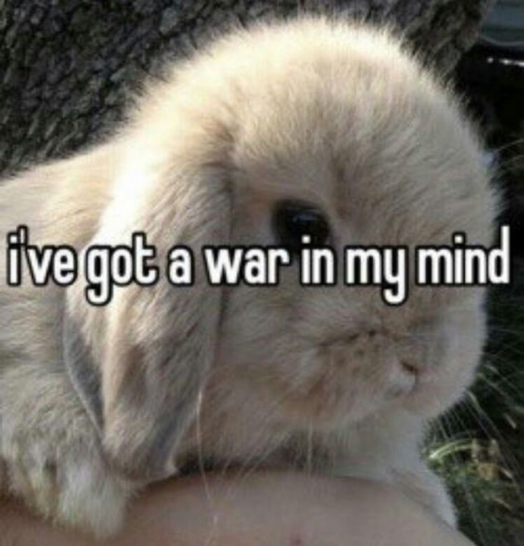 lainstar_'s tweet image. 