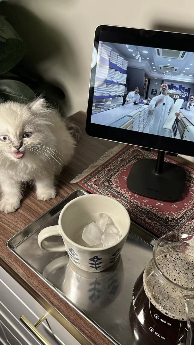 الصديقة الجديدة انجل 🖤🖤.