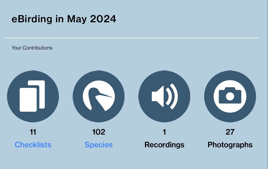 #eBirdStats