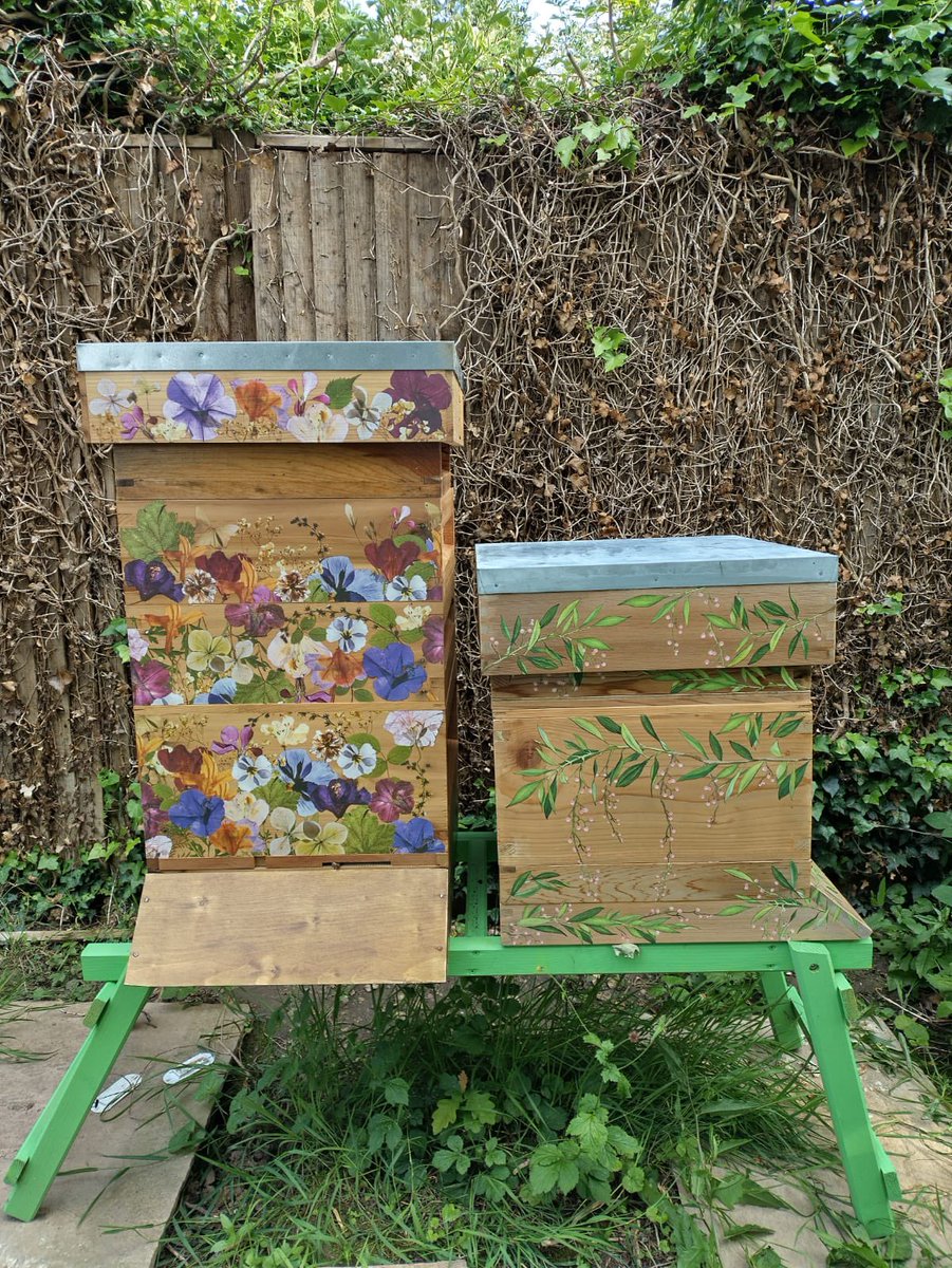 mid_bee's tweet image. First year beekeeper Karolina has created these spectacular hives #beekeeping