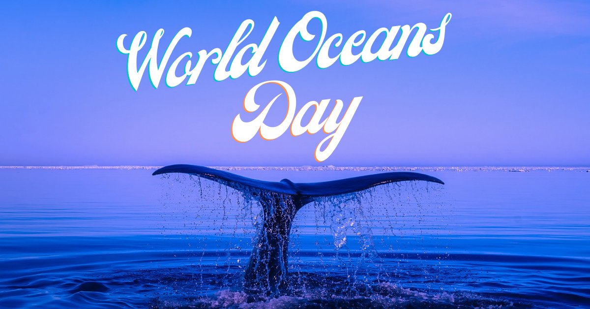 MidniteDesign's tweet photo. It's #WorldOceansDay! Filled with vibrant life from massive whales to simple minnows, our #oceans are a vital part of our planet's ecology and should be respected and cared for. Let's all do our part in making sure our oceans are kept sustainable.
https://t.co/nYsXVnAKRh https://t.co/WD8xxG4Uwz