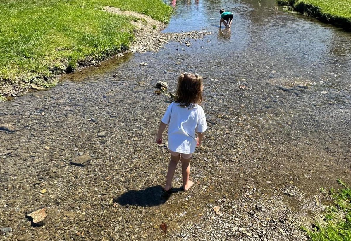 MBChaudron's tweet photo. Enjoying Tennessee living @MrsChaudron #blueplum2024 https://t.co/vATAHnxj5m