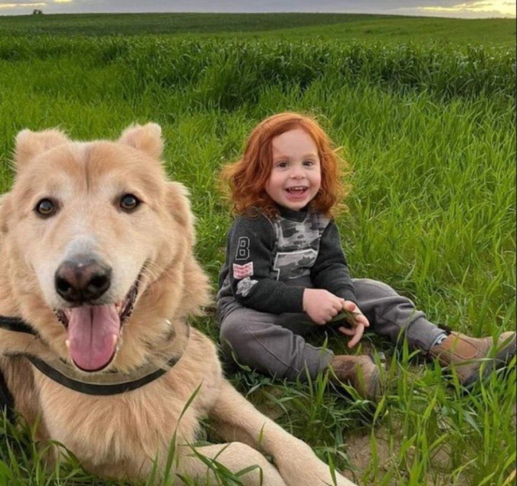 Este hermoso niño sigue secuestrado, esperando regresar a casa.

Quedan todavía 120 personas secuestradas.

No descansaremos hasta que TODOS regresen a casa.