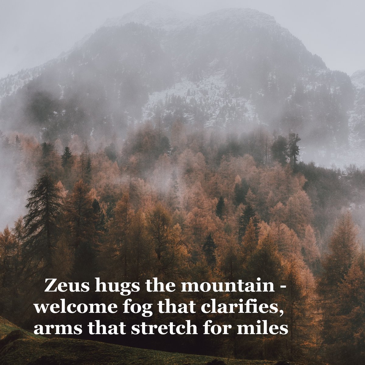 mikewilsonauth1's tweet photo. Haiku by Mike Wilson, photo by Eberhad Grossgastheiser
.
.
.
#writingprompt #wordcount #indie #VerseOfTheDay #poet #peace #HopeForGood #light #ConsciousPlanet #WordOfTheDay #written #KNOWLEDGE #wise #Tweet #mikewilsonauthor https://t.co/wKOPs17CWq