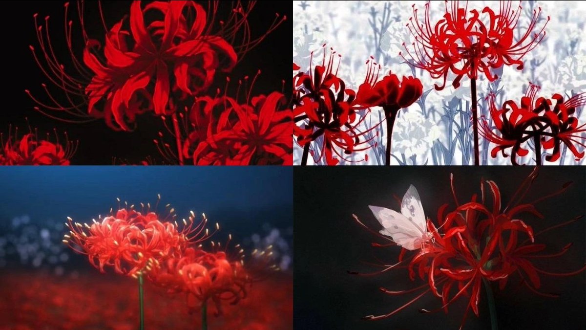 اسامه tweet media