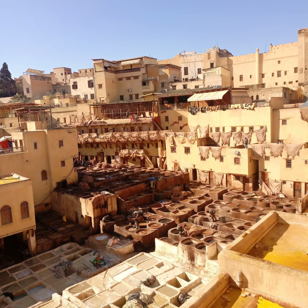 moroccostarstra's tweet photo. #viajesalmundo #semanasantaenMarruecos #guiamarruecos #actividadesenmarrakech
#viajeamarruecos 
#viajespormarruecos 
 #visitamarrakech
#baratosviajesmarruecos
 #rutasdeseemarrakech
#mejorguiamarruecos
#4díasdesdemarrakech 
#desiertomarruecos
https://t.co/asNRWKaNA6 https://t.co/Q5XNbojolR