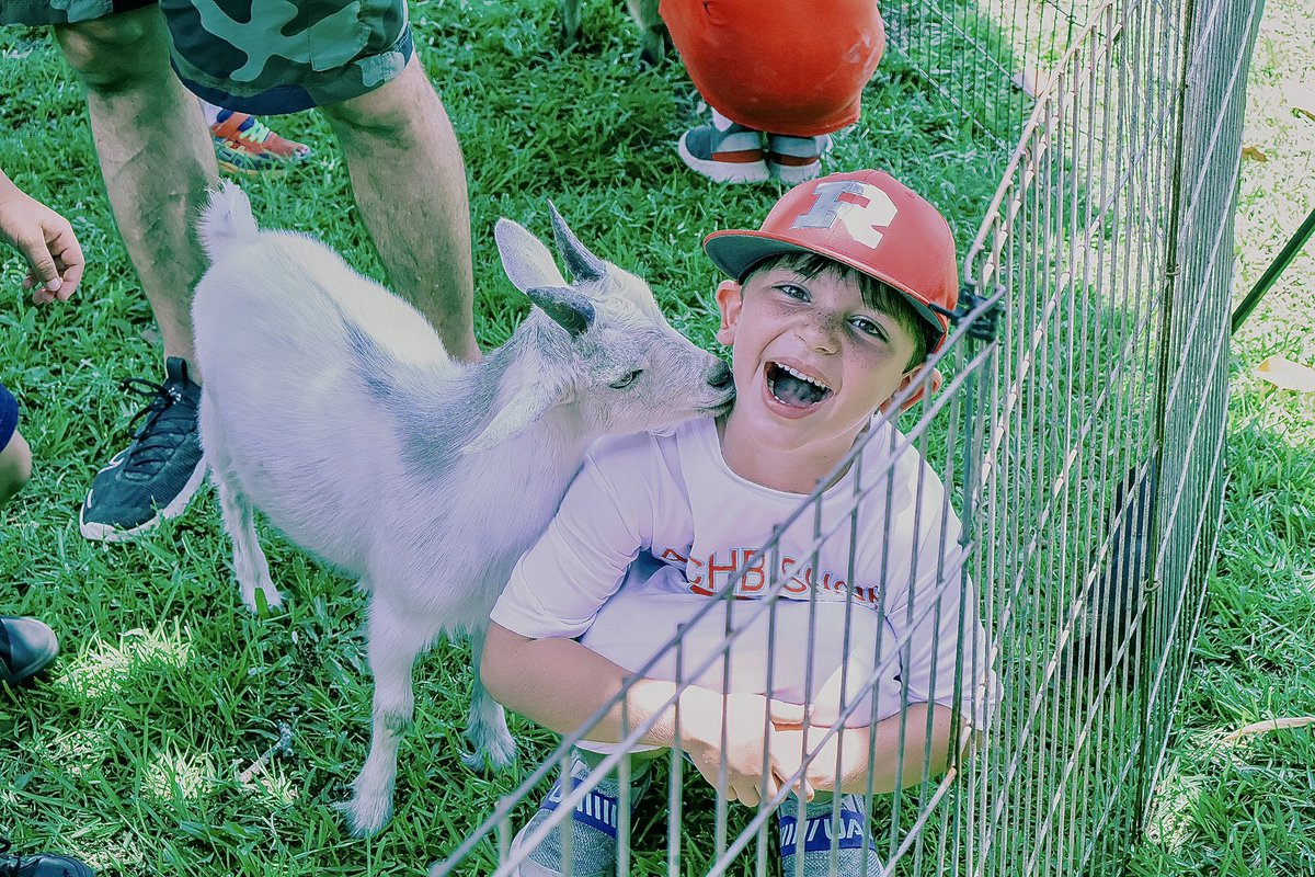 ArchRUMMEL's tweet image. ☀️ 😎 A petting zoo, tie-dye shirts, science experiments, basketball, and baseball! 🏀 ⚾️ 

It’s safe to say the first two weeks of summer on Severn Avenue have been blast!  🎉

See you on Monday, campers! 

#SummerAtRummel #BestSummerEver