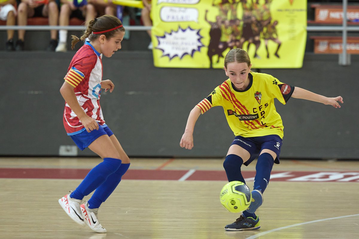 Federació Catalana de Futbol tweet media