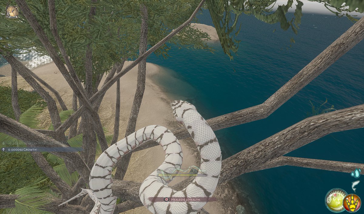 Ejgm_mogchi's tweet image. #BeastsofBermuda
蛇めっちゃ面白かった…個人的におろの巣穴は入れるのが素晴らしい…