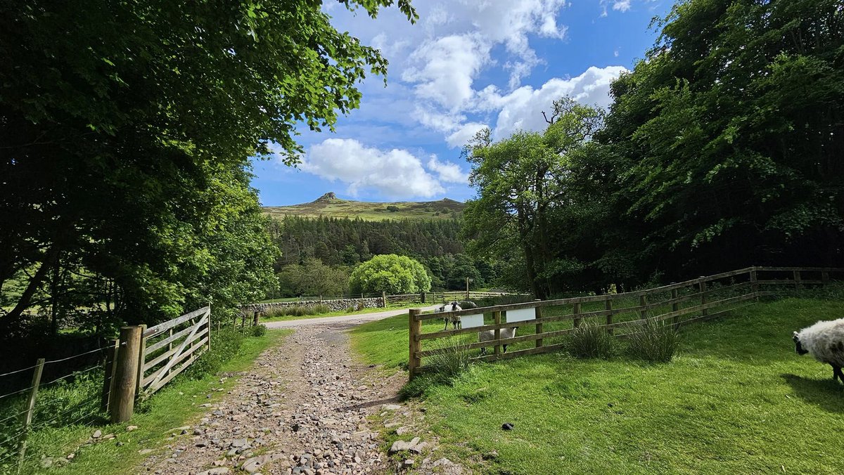 Craig Wright tweet media