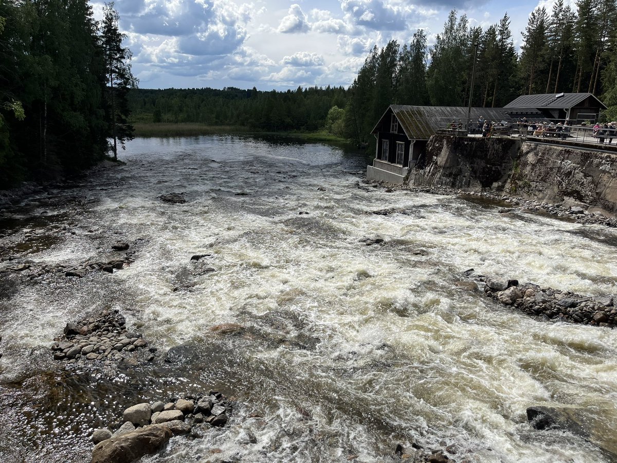 Tänään juhlittiin vapaata Hiitolanjokea Rautjärvellä. 

Kolme ennallistettua koskea ja nousuväylä auki Laatokan lohelle. Upea alueen ihmisten, järjestöjen ja yritysten yhteisponnistus valtion tuella.

Yli 3000 kävijää kertoo myös tällaisten hankkeiden elinvoimapotentiaalista.