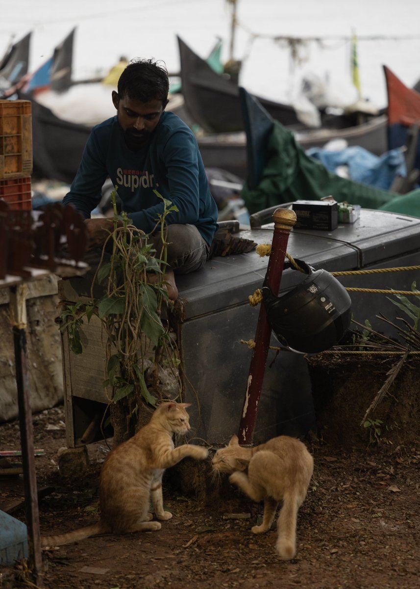 SanuXMohammed's tweet image. Camera or Phone shots ? #streetphotography #randomshots #fortkochi