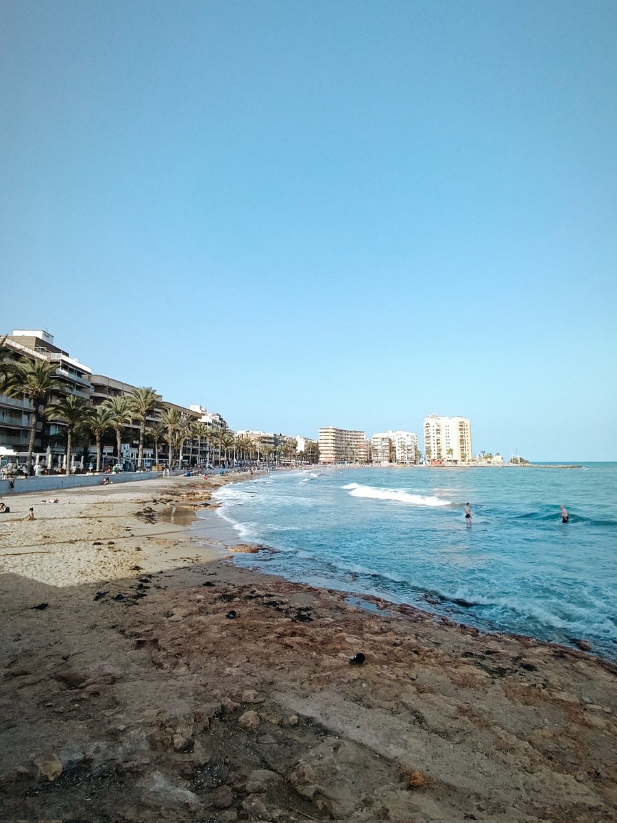 ☀️🌴😎 Summer #haratadara #spain #torrevieja #España