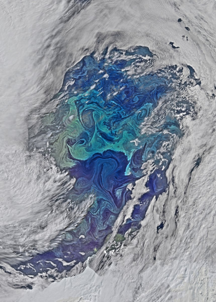 NASAAmes's tweet photo. We're living in an ocean world. 

Let's celebrate what makes our planet blue this #WorldOceansDay! https://t.co/eJwpdJYj8U
