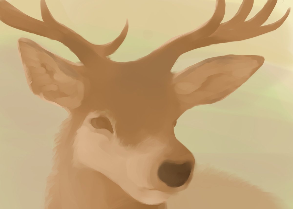 migurayki's tweet photo. my old first artwork on pen display
#furry #deer https://t.co/QSC0JL1r0P