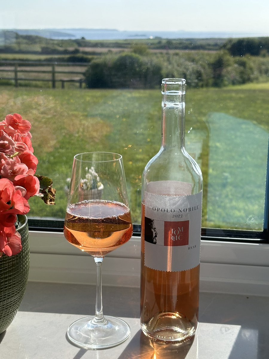 Martin1Chris's tweet photo. #saturdaynightclub back from a week in wonderful Croatia, photo of Hvar vineyard! @MY_LenRichards @SionCharles @bernardine_rees @welshcake39 @kellyinhull @MarcAMPenny @MrLloydJames @innovation_tom @meurigraym @StDavidsBrewery @iwanthomas1 @SJACDyfedCounty @Jonantz @brygriffiths https://t.co/Z8P5YjbfIO