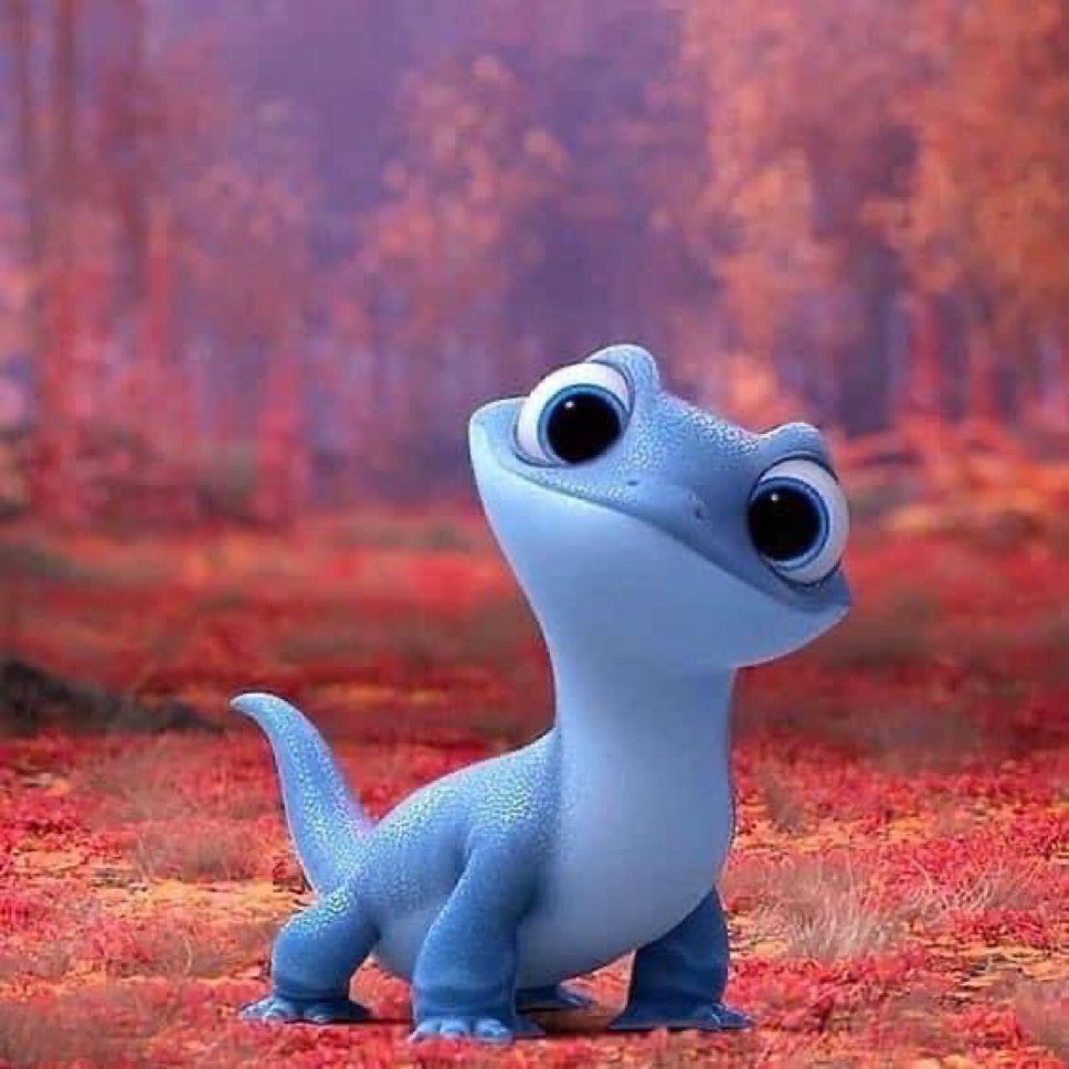 mi perro cada vez que tengo comida: