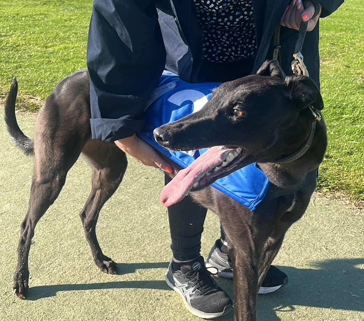 Towcester Racecourse tweet media