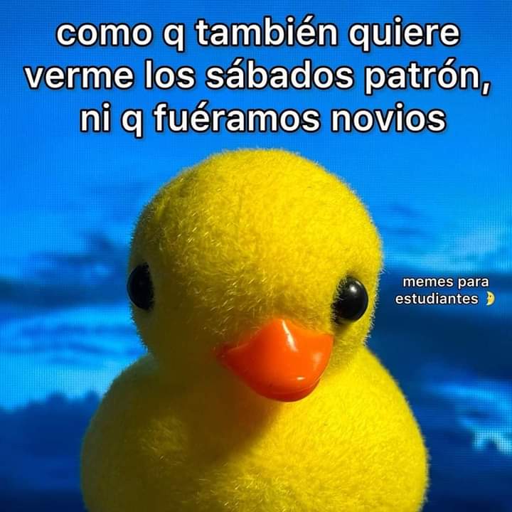 Jocelyn Quiles SeñorasChambas 🇲🇽 💜💚🩷 tweet media