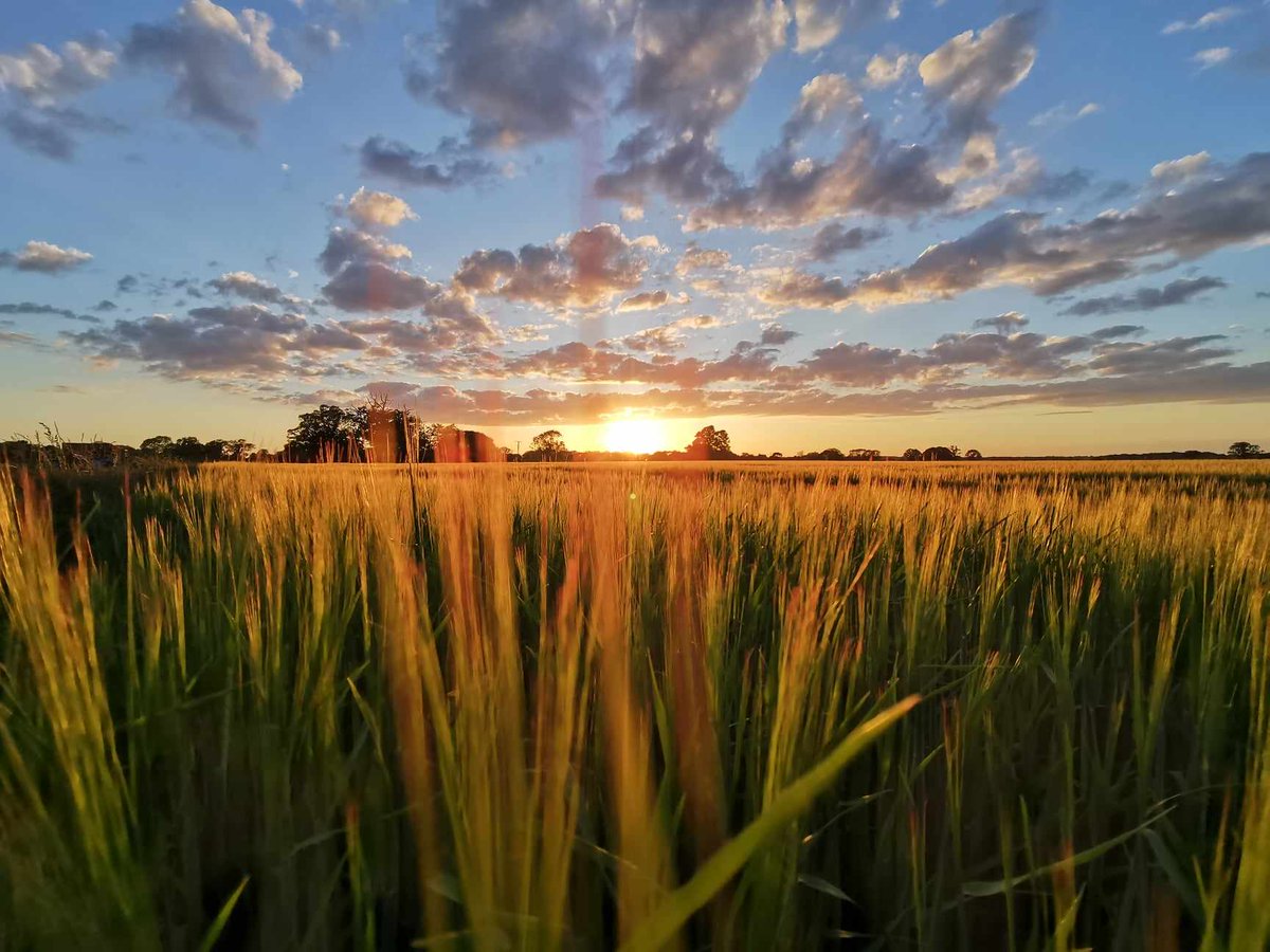 The Ag Recruiter tweet media