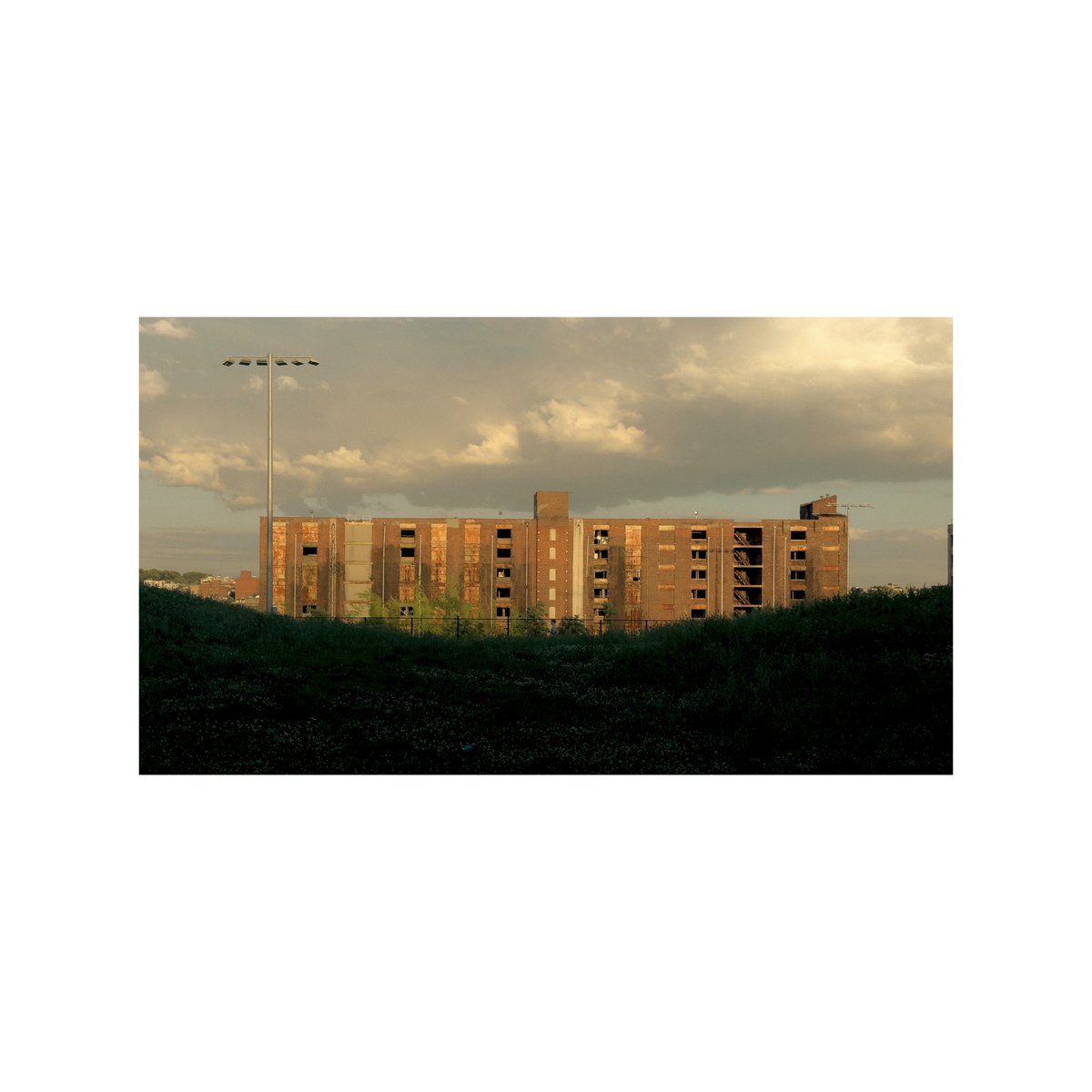 mparkin2's tweet image. Summer nights