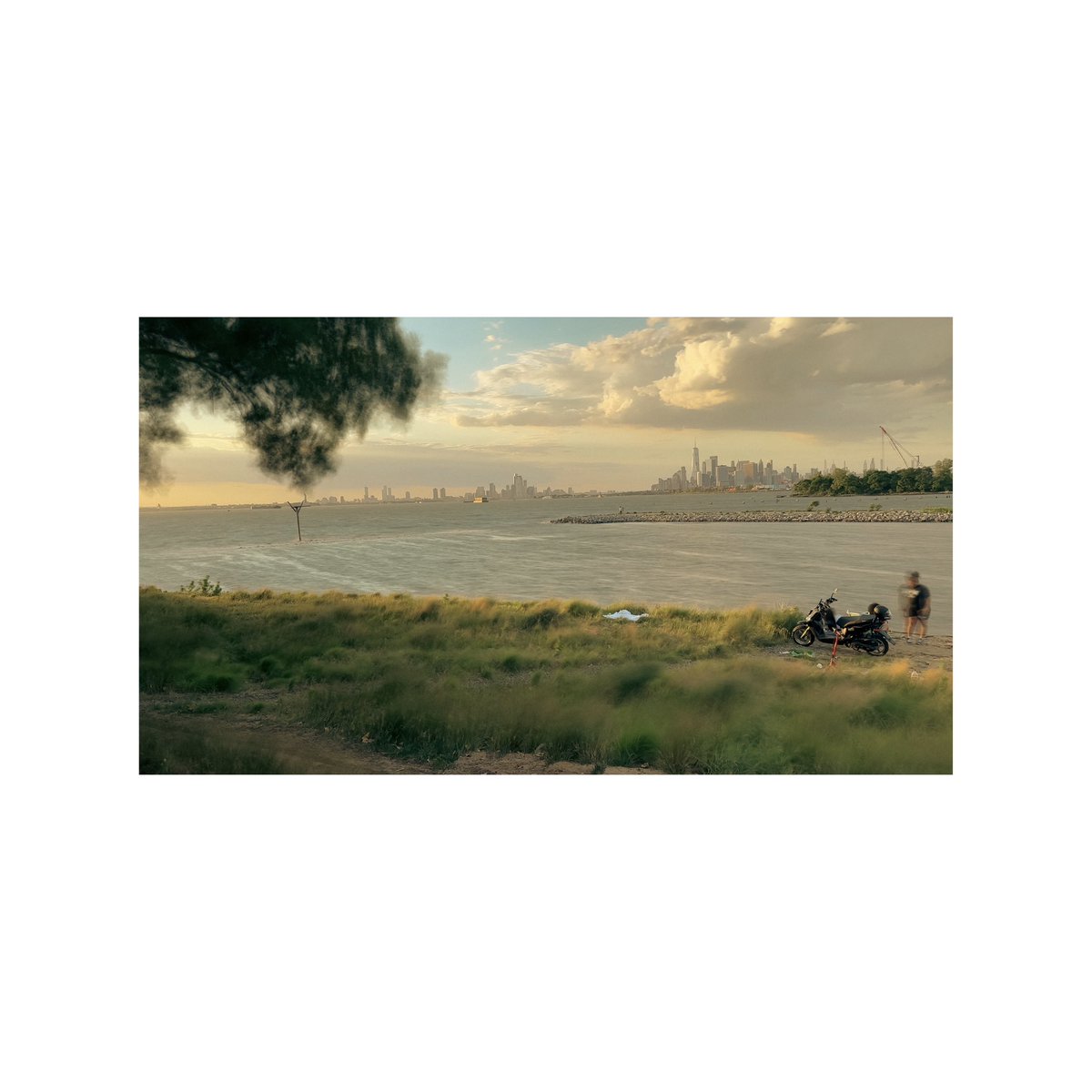 mparkin2's tweet image. Summer nights