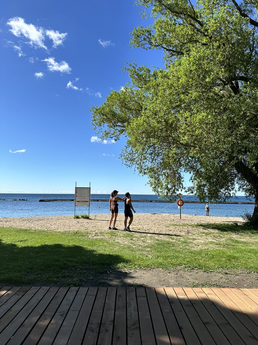 Portland Runners Toronto tweet media