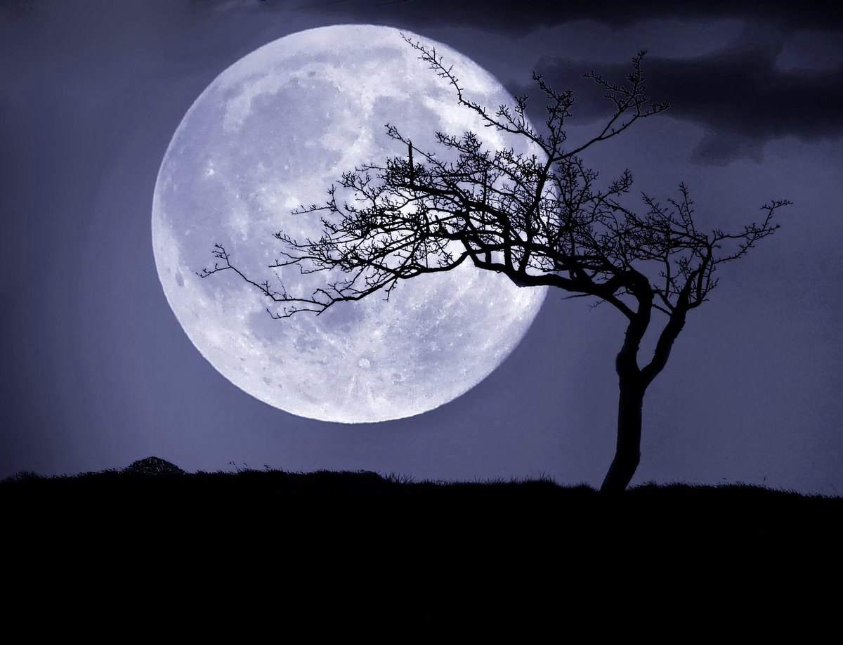 “The man who speaks to the moon is mad. Foolish is he who does not listen to her.”   

                                                ✍🏻 William Shakespeare