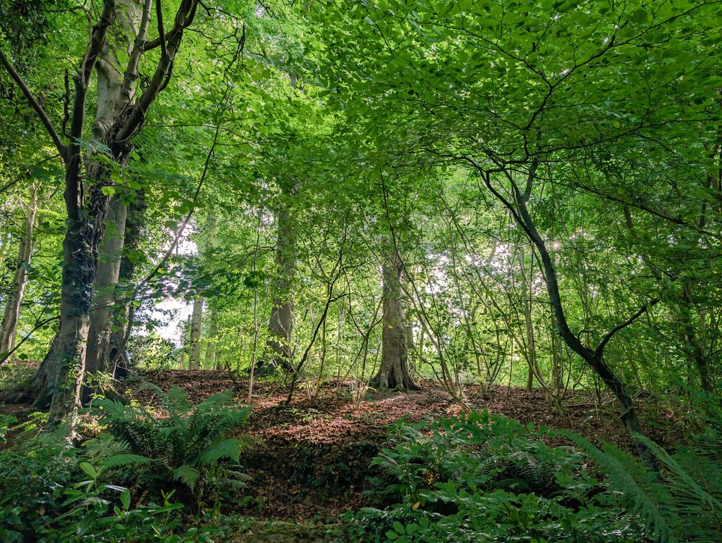 Off the beaten track