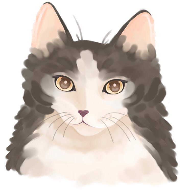YokoChes's tweet photo. Please feed Oti's cat, she's been starving all season
(I forgot that she has a collar) 
#YeosM #Cat https://t.co/1gR5A1IPRh