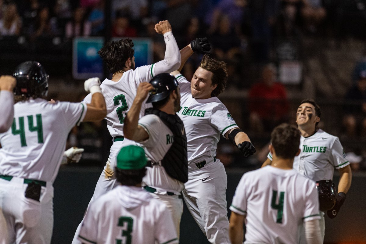 Pulaski River Turtles tweet media