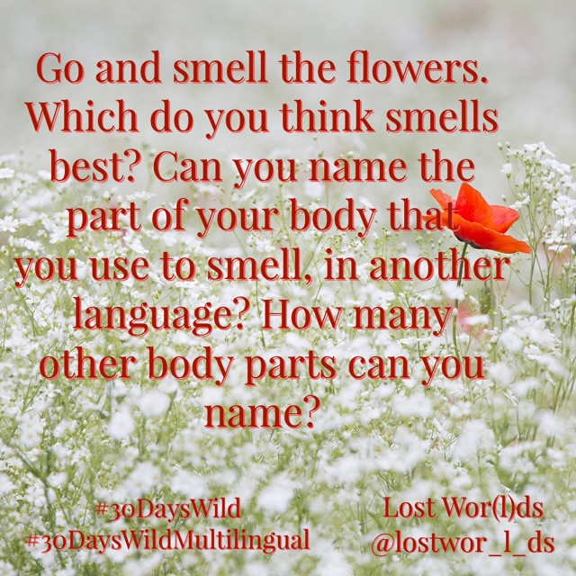 LostWor_l_ds's tweet photo. 👃< How many languages can we name this bodypart in before the day is out? Smell the flowers and let others know how to say "shnoz" in any languages you know. #30DaysWild #30DaysWildMultilingual https://t.co/fcSYEyz4nh