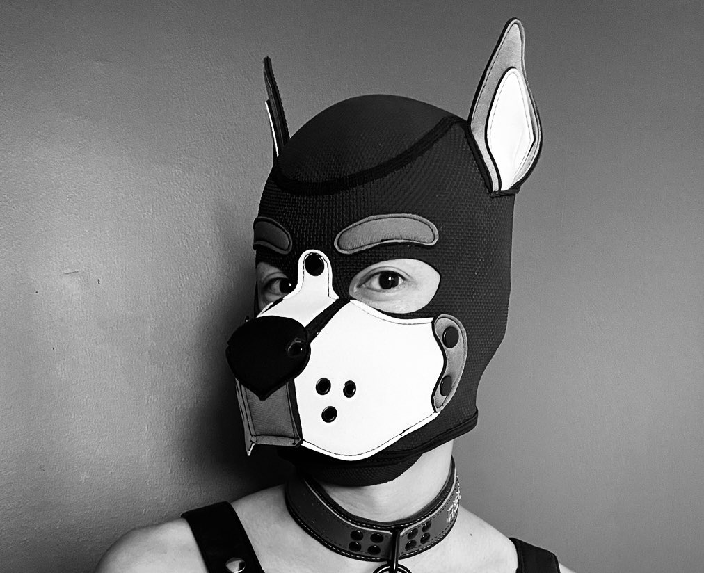 Pupper Ash tweet media