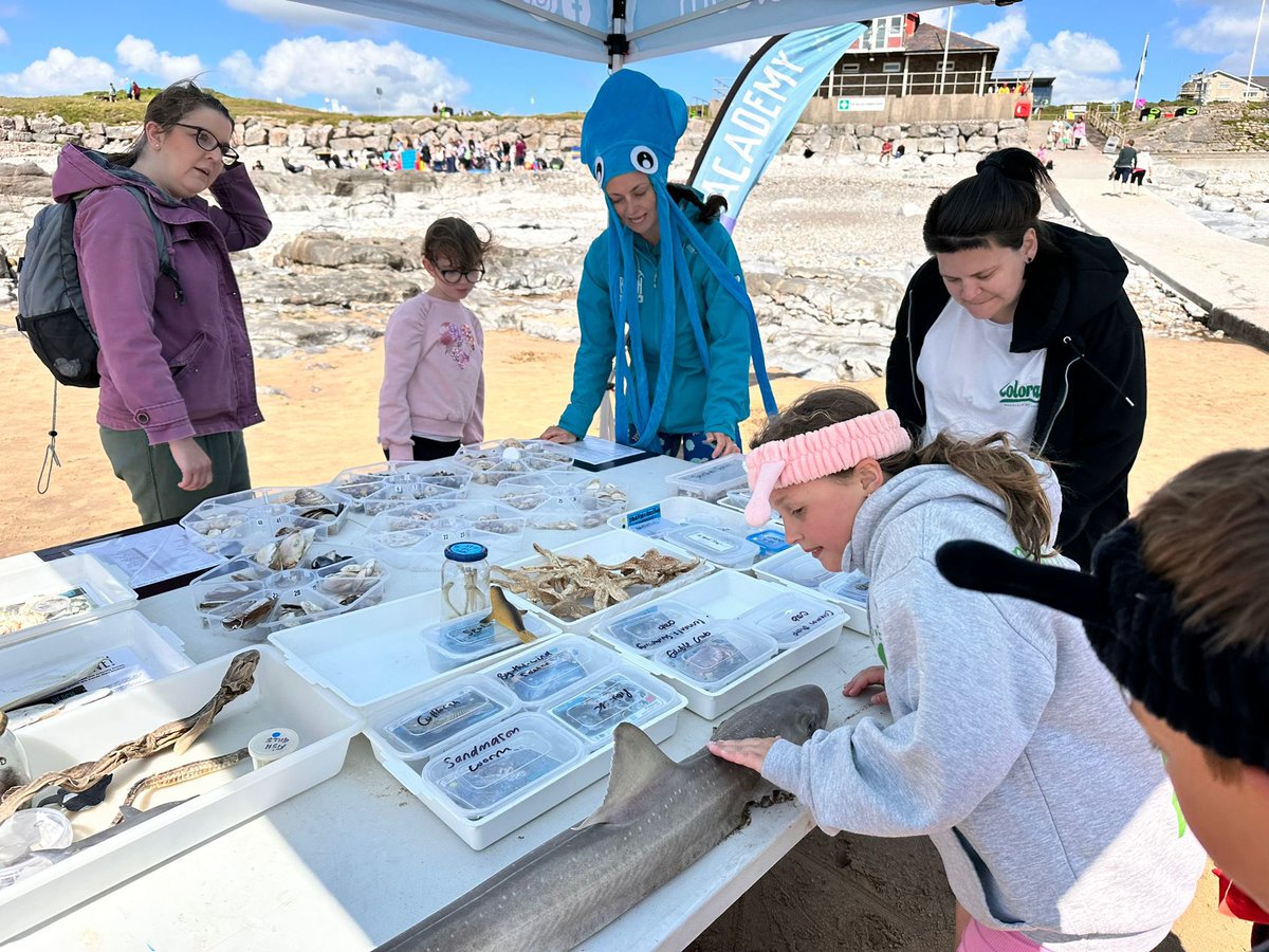 BeachAcadWales's tweet photo. Thanks to everyone who came to celebrate #WorldOceanDay at a very windy #RestBay. Was lovely to meet you all and share our marine knowledge as well as our exciting shark find! @OLW_ @OurOcean @BBCSpringwatch https://t.co/O8kcLKlpDK