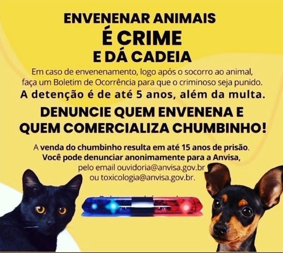 miativista's tweet photo. Quem já presenciou ou viveu tal situação sabe que o sofrimento causado é traumatizante.😢
Sempre vale reforçar!
ENVENENAMENTO DE ANIMAIS É CRIME!
DENUNCIE 📣

Envenenar animais (com ou sem tutor) é crime Lei Federal 9.605/98 / Decreto 24.645/34 https://t.co/btmW1usQYg