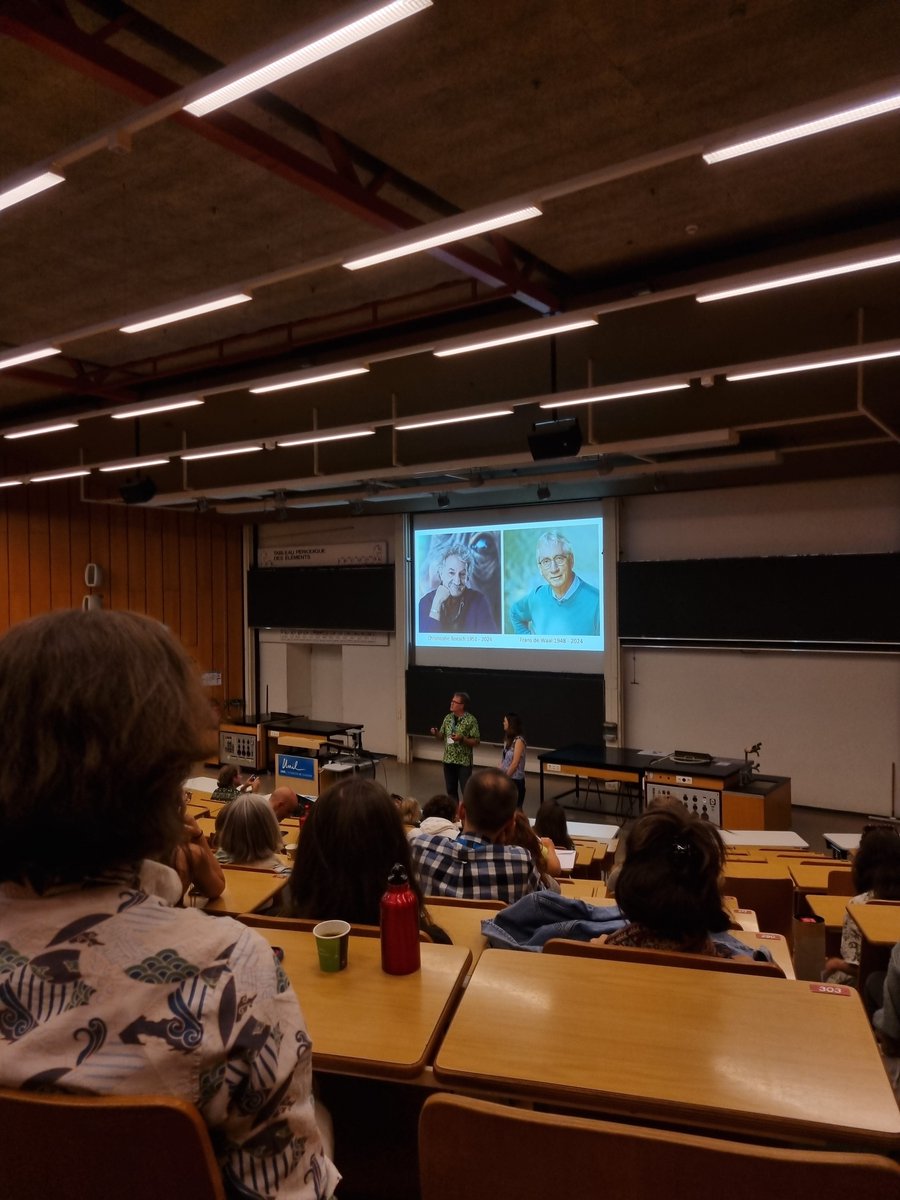 Giulia_Pipolo's tweet photo. Had a great time at @EFP_2024 in Lausanne! I had the privilege to present my thesis research on the effect of food puzzles on stress behaviour in captive golden-headed lion tamarins as a poster. Thanks to everyone at the event for making this a memorable first conference!! https://t.co/Mi0TUiv98q