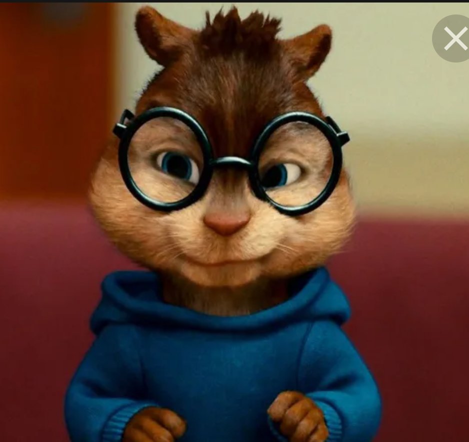 cotoc133133's tweet photo. #Wilbur 

Because he's lost weight, he looks a lot like Simon from the chipmunks. https://t.co/CXHdsNsczh